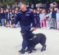 Полицаи и кучето Макс ГОСТУВАХА на децата от начално училище в Пазарджик. 